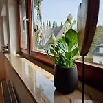 Apartament Naturgetreu Medebach