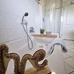 Naturgetreu Apartament Medebach