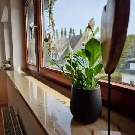 Apartmán Naturgetreu Medebach