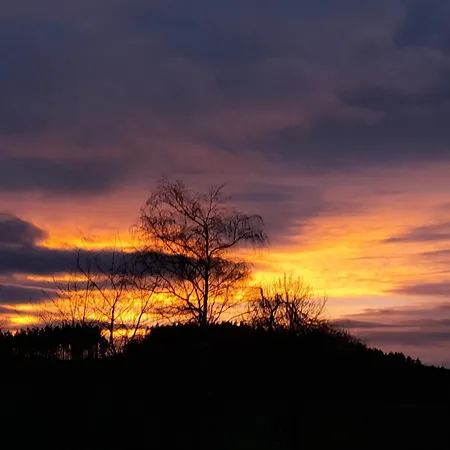 Apartment Naturgetreu