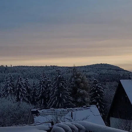 Naturgetreu Medebach