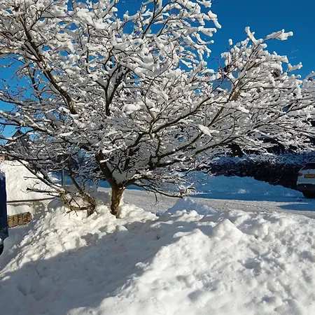 Naturgetreu Appartement