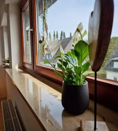 Lejlighed Naturgetreu Medebach