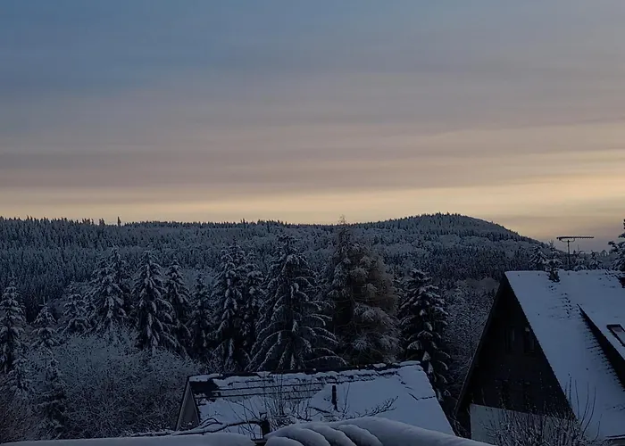 Naturgetreu ميدهباخ